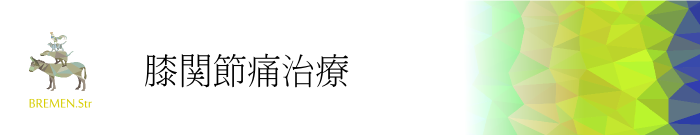 元住吉・武蔵小杉の膝関節痛治療