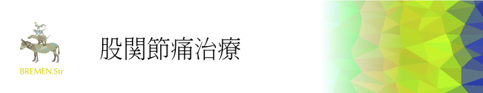 元住吉・武蔵小杉の股関節痛治療